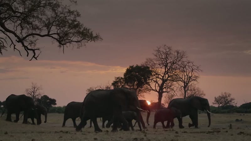 'Nightfall brings respite from the heat.'