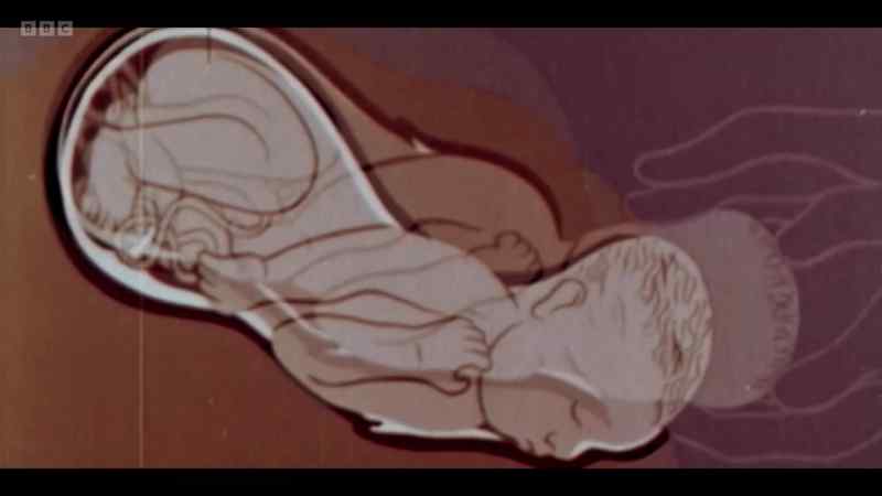 Nine months after conception
