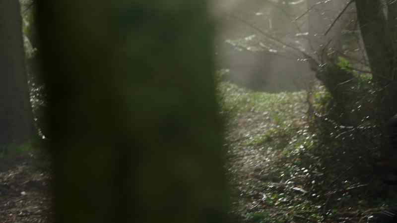 Nix