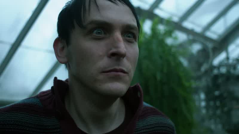 No! A freak! A freak! A freak!