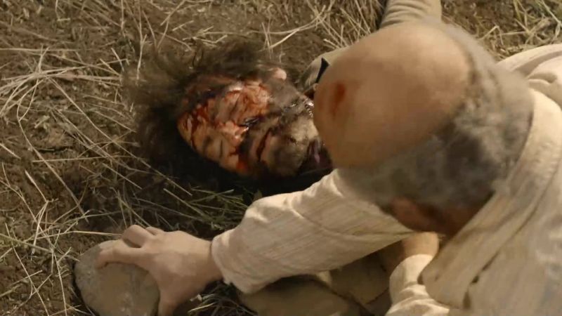 No, Buck!