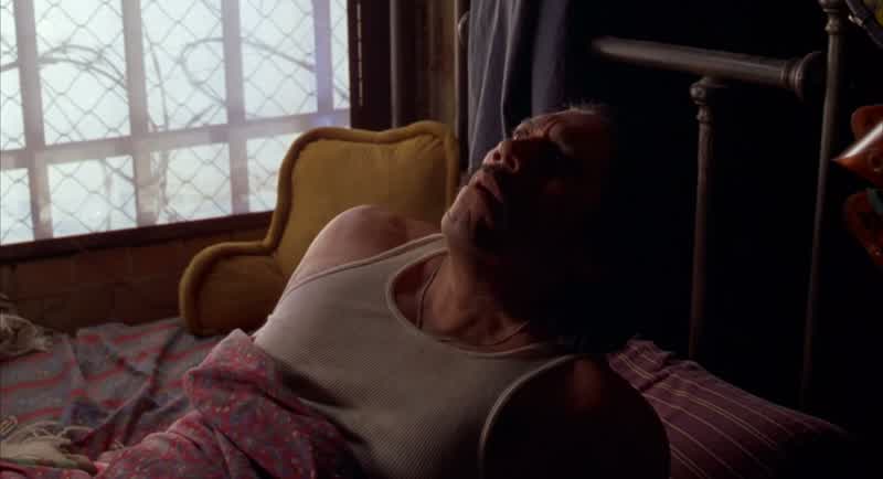 No! Carmen: Hurry up! He's coming! He's coming!