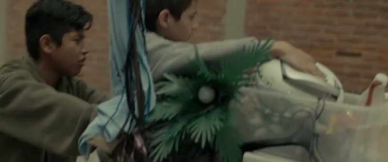 No, 'cause Estrella killed Caco, so they're afraid