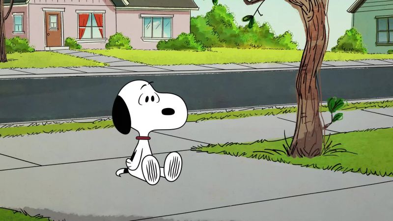No dancing dogs allowed in school!