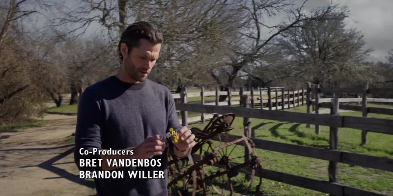 No dandelions