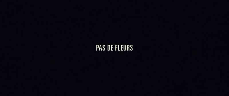 No flowers