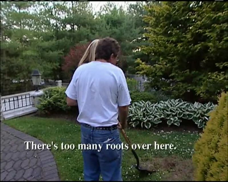 No, I rather him in a garden