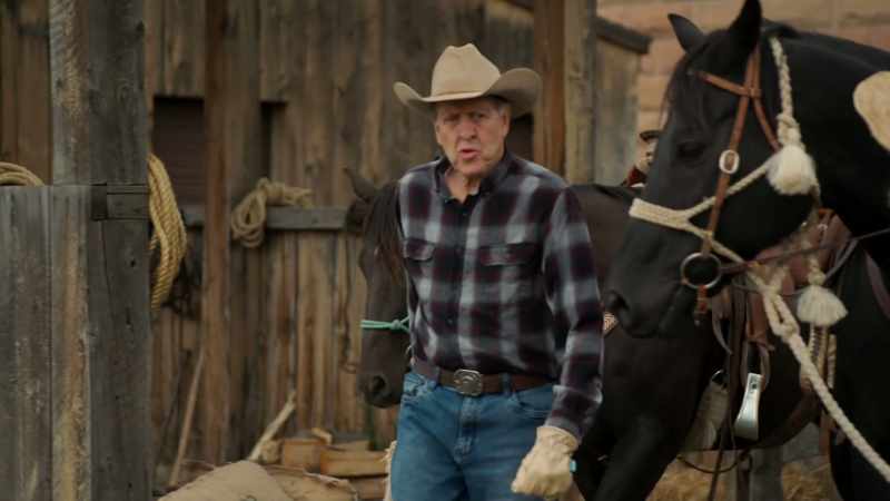 No, I'm not frustrated with the horse