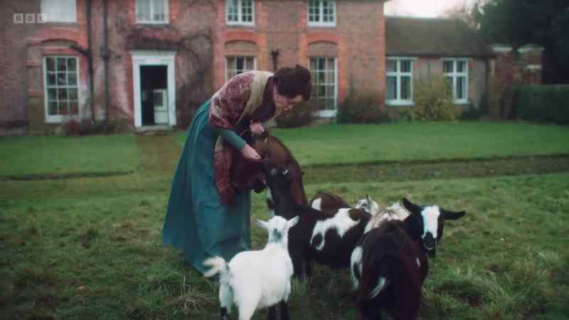 No, Miss Betty, that is Miss Harriet's breakfast