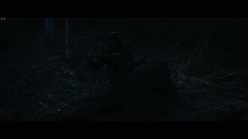 No more fences