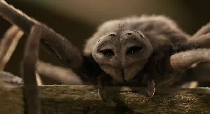 No My webs were no miracle Wilbur