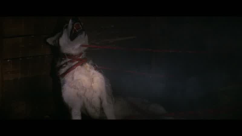 No! No! God! - Don't! Don't! No! - Get back! Get back!