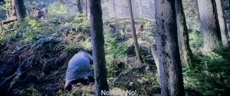 No! No. No!