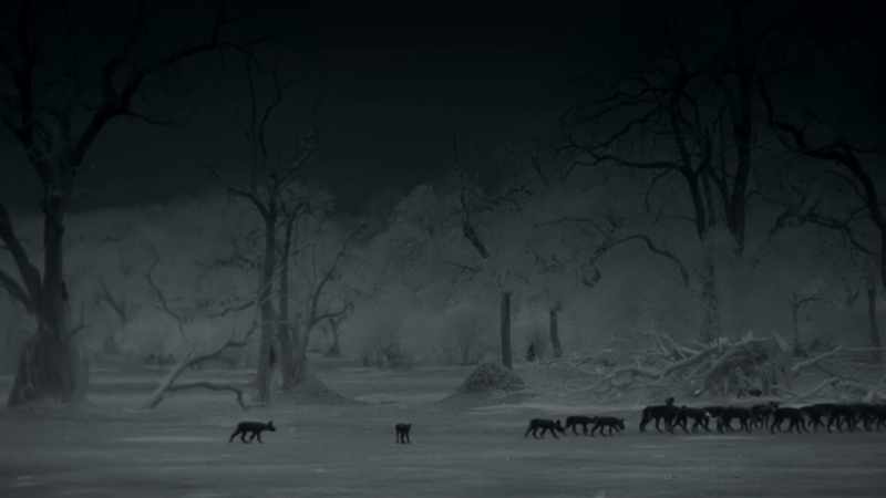 No one wants to be the straggler in the dark