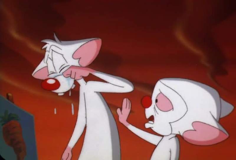 NO PINKY