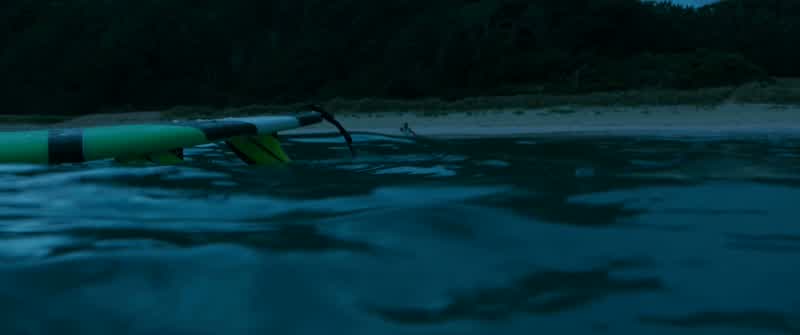 No, there's a shark!