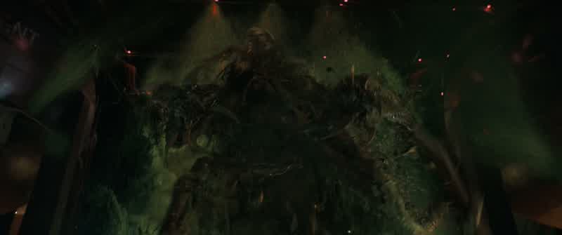 No. No! No! No!