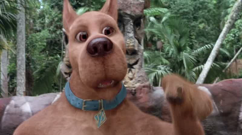 No Scooby Doo your mom eats cat poop