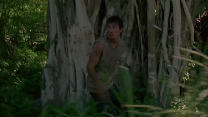 No! Shannon!