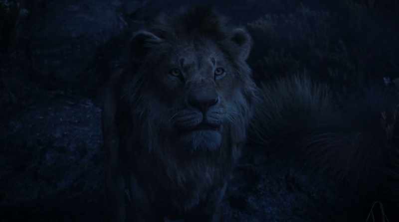 No, Simba. That is forever