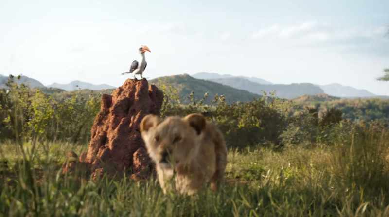 No, son. You stay with the other cubs