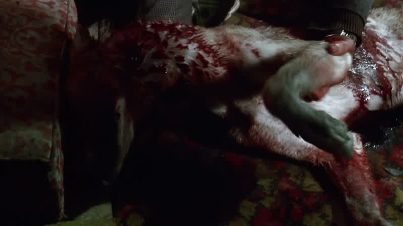 No te me mueras