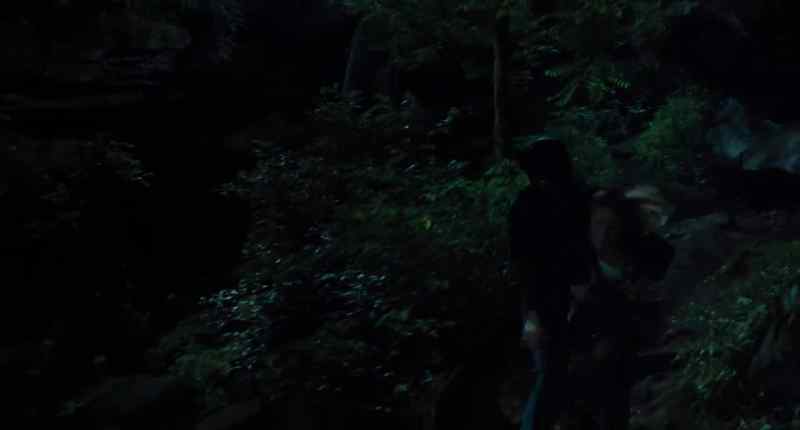 No! - Whoa! Calm down