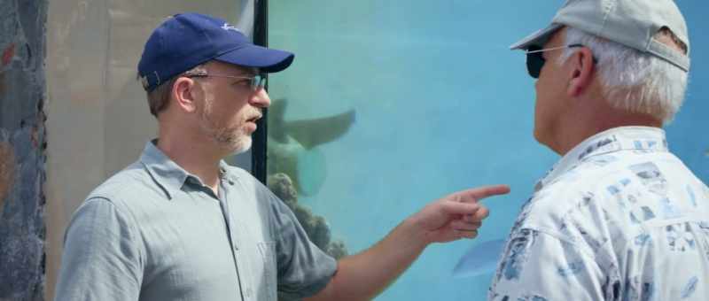 No, we will not get a shark evolve into a bird