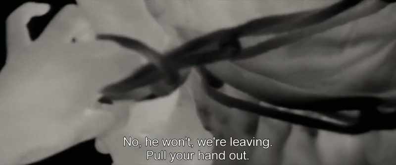 No, he won't, we're leaving. Pull your hand out