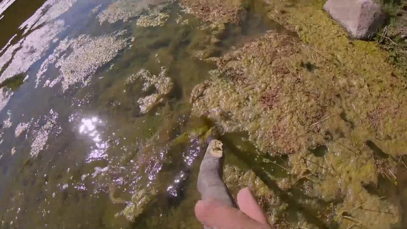 [noah] fishing is fickle