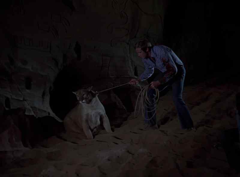 Nobody! Nobody kills that cougar!