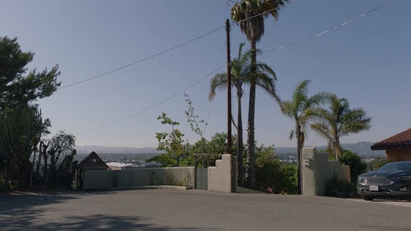 NoHo Hank: The cops bought it hook, line, and a sinker