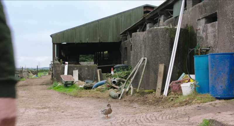 Normally me hens would have been chirping cheerfully at that
