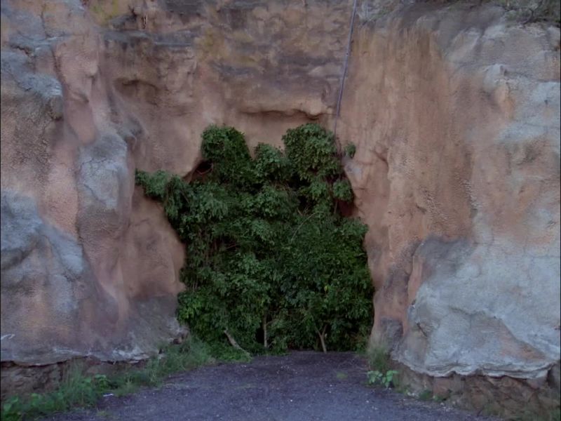NORMALLY, IT'S BOARDED OVER JUST UNDER THAT BRUSH THERE