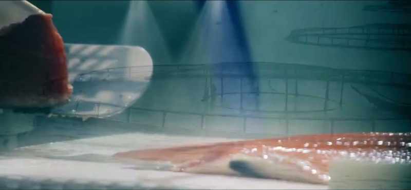 Norway produces more farmed salmon and cod