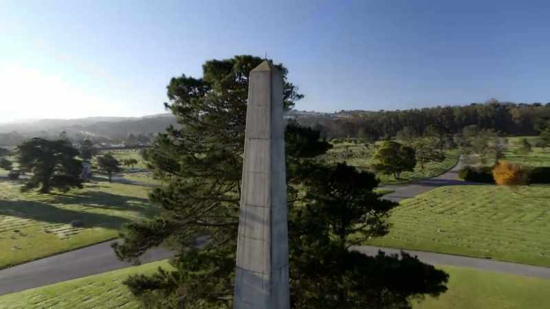 Not an uncommon sight in a cemetery