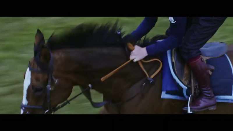 Not your average riding school pony