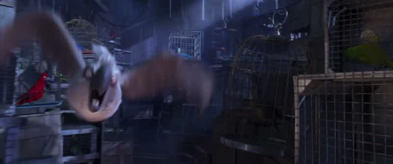 Not cool, man!