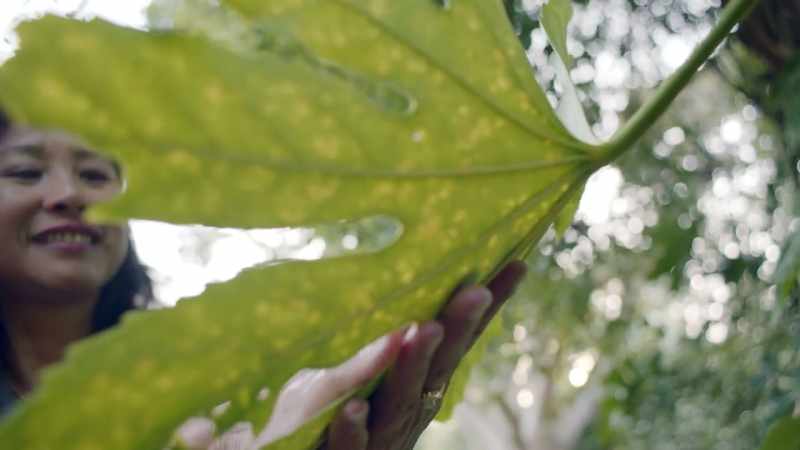 Not only do our senses define our reality…