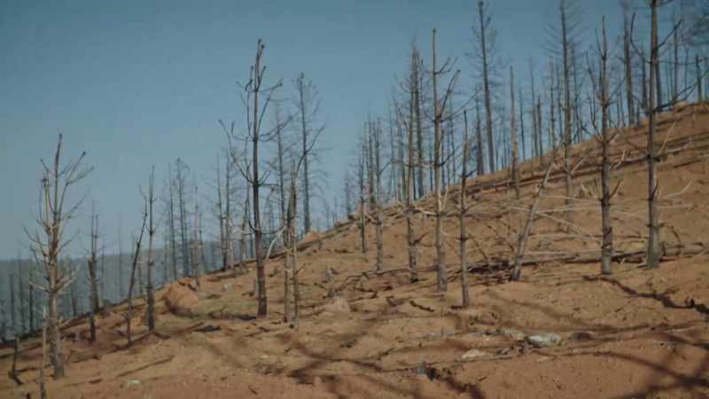 Not only is it very damaging ecologically