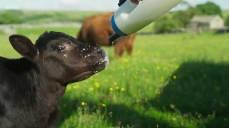 Not only is the farm more profitable