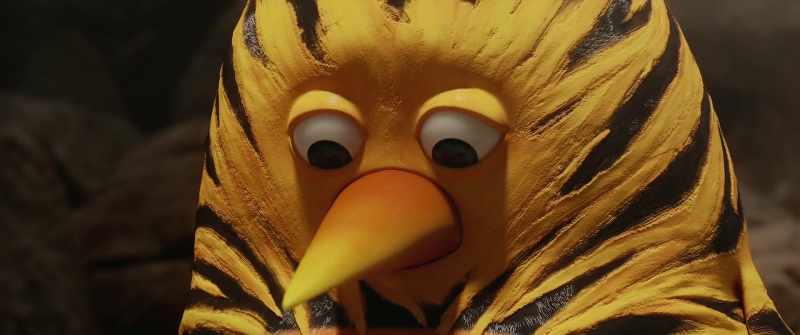 Not the little tiger! -Maurice, is that true?