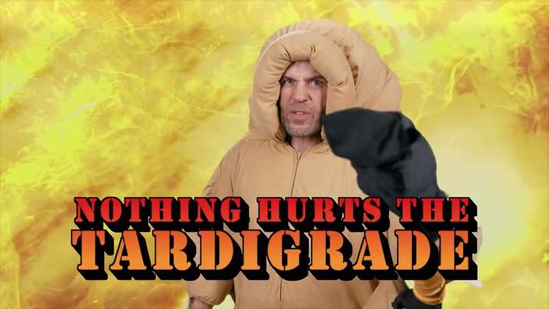 Nothing hurts the tardigrade. Nothing