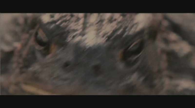 Notice clan, I will have my revenge