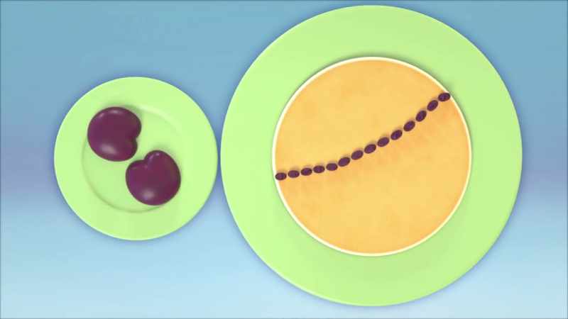 Now add a slice of plum for the eyepatch