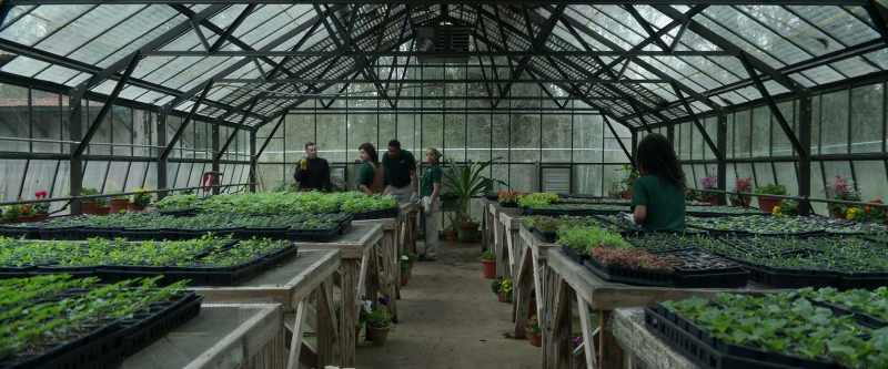 Now, all of these plants here