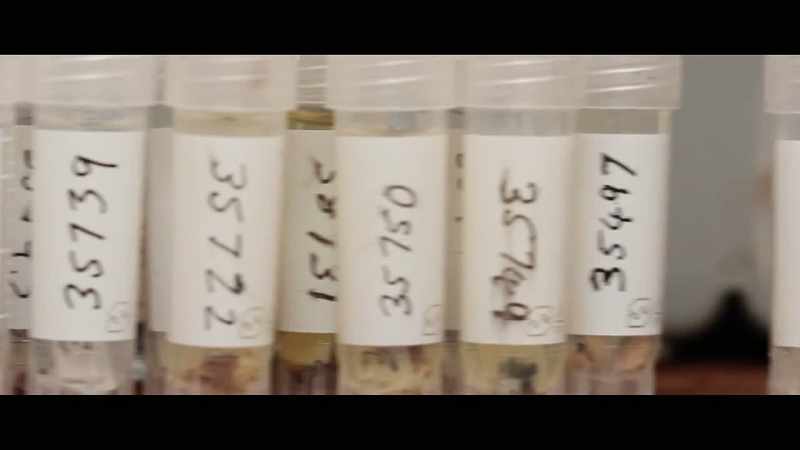 Now we are testing short segments of DNA