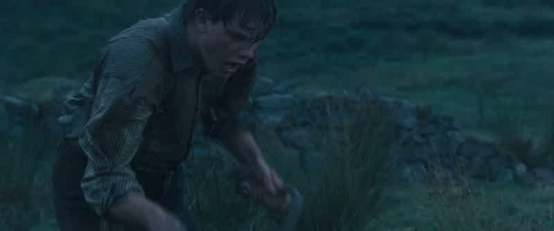 Now, boy!
