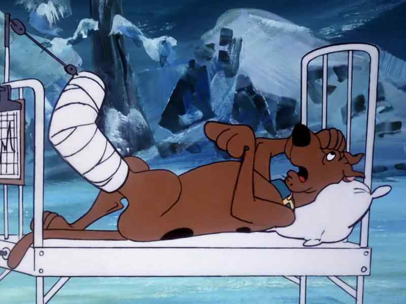 Now, cut that out. - My leg! My leg!