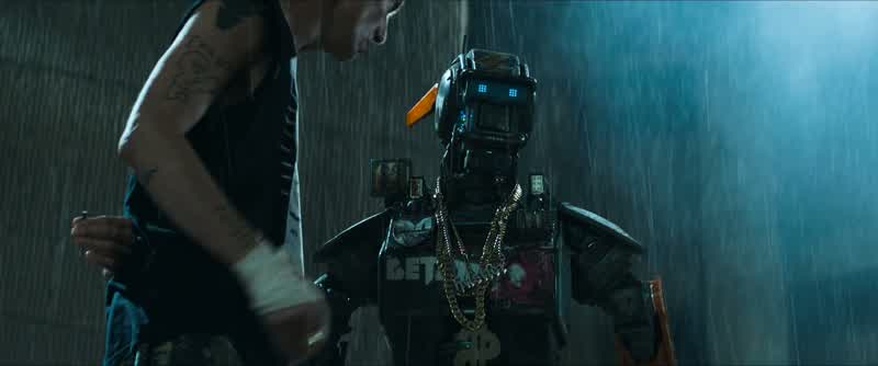 Now which dog do you wanna be ChappieThat dogor that dog